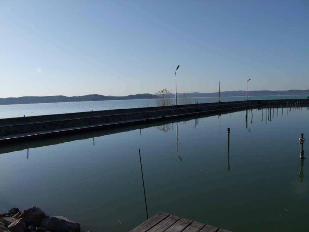 Platan Zamardi